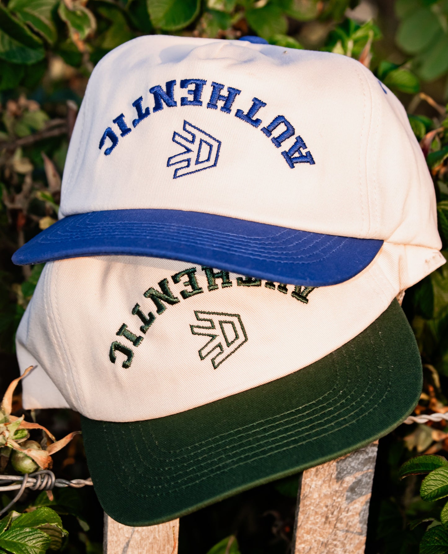 Authentic Two Tone
