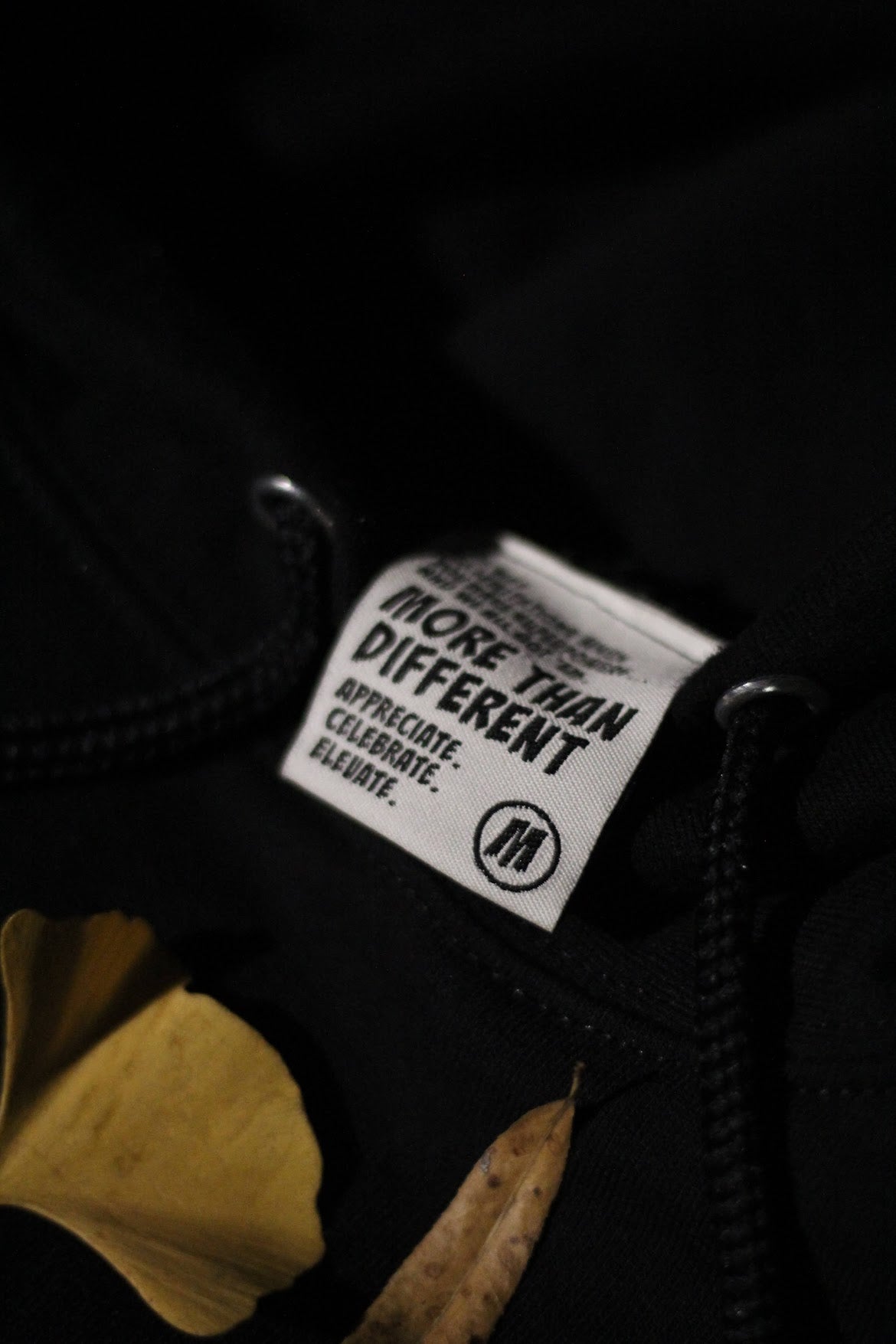 ANP Hoodie