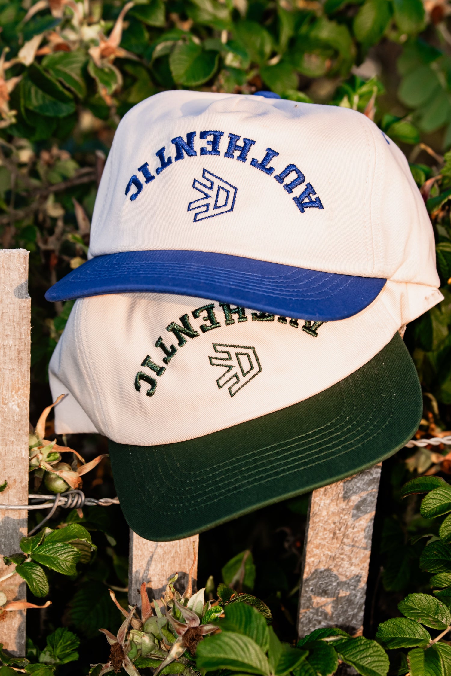 Two Tone Lids